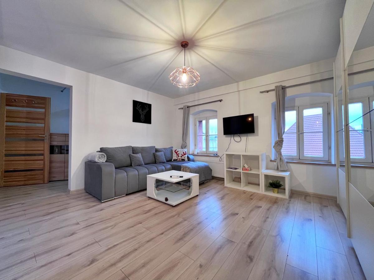 Apartament W Samym Centrum Jeleniej Gory Jelenia Gora Ngoại thất bức ảnh