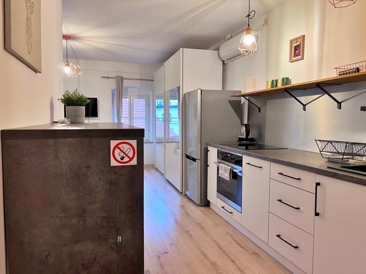 Apartament W Samym Centrum Jeleniej Gory Jelenia Gora Ngoại thất bức ảnh